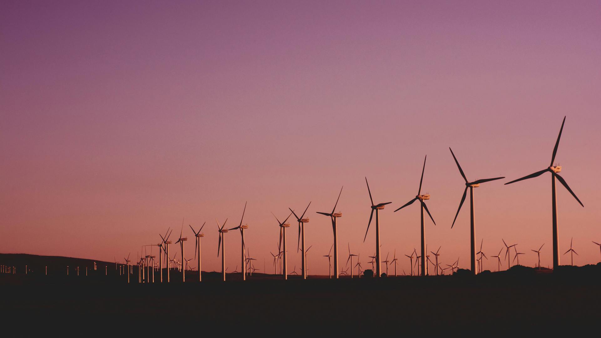 Home Pexels Photo 1292464